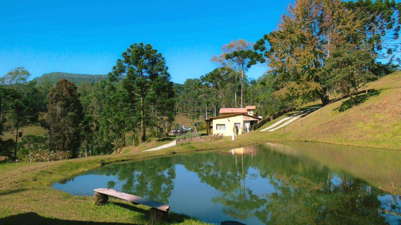 Linda C Lazer Prox Camp Do Jordao Sp *